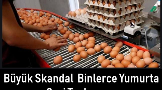 Büyük skandal binlerce yumurta geri toplanıyor