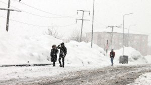 Bitlis'te kar yağışı etkili oluyor