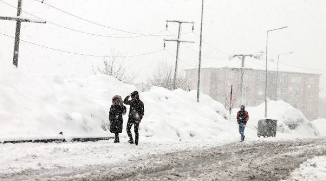 Bitlis'te kar yağışı etkili oluyor