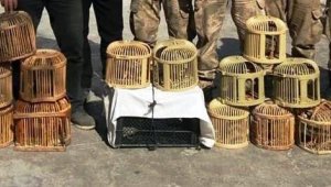 Canlı mühreyle kaçak kınalı keklik avlayanlara 39 bin TL para cezası