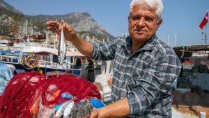 Balon balığıyla mücadelede, 'Kuyruğunu getir 5 lira al' projesi balıkçıları sevindirdi