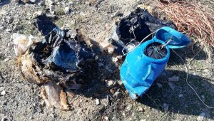 Bitlis'te köy yoluna tuzaklanmış 60 kilo EYP bulundu