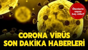Koronavirüs kaç can aldı? Hangi ülkede kaç kişi koronavirüs nedeniyle öldü?