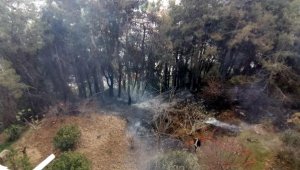 Manavgat kent merkezinde endişelendiren orman yangını