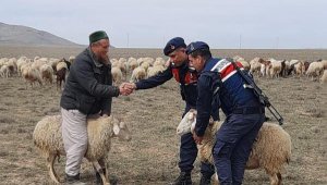 Rusya uyruklu, Eskişehir'de 'koyun hırsızlığı'ndan gözaltında