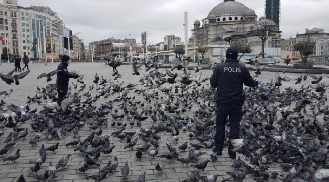 Taksim'de aç kalan güvercinleri polisler besledi