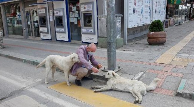 AK Parti'li Işık görevlileri ziyaret edip, sokak hayvanlarını besledi