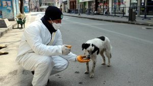 Boş kalan caddede sokak köpeklerini elleriyle beslediler
