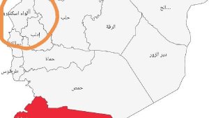 Esad'ın tepki çeken koronavirüs haritası