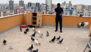 Evde kalan Adanalılar 'güvercin' besliyor