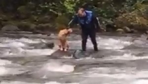 Fırtına Deresi'nde mahsur kalan köpek kurtarıldı