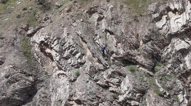 Kayalıklarda mahsur kalan keçiyi AFAD, kurtardı