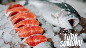 Koronavirse karşı ikinci balık tüketim kampanyası başlıyor
