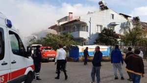 Marmaris'te, villanın çatısında çıkan yangında 50 kuş öldü