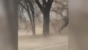 Ukrayna'da toz fırtınası