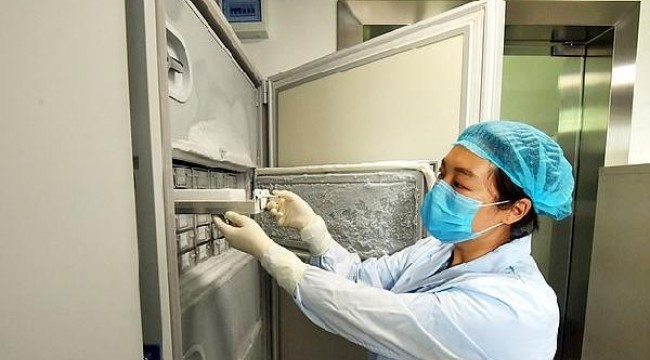 Vuhan'daki Viroloji Enstitüsü'nden çekilen 1500 virüsün saklandığı fotoğraflar basına sızdı