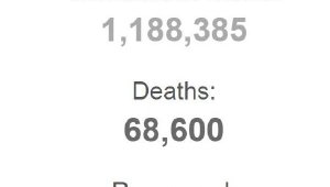 ABD'de koronavirüsten ölen kişilerin sayısı 68 bini geçti