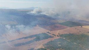Aydın'da, 5 saatlik yangında 45 hektar makilik kül oldu