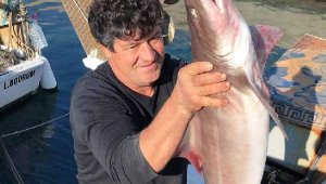 Balıkçı ağına 2 köpek balığı takıldı