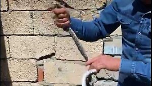 Mardin'de eve giren 1,5 metrelik yılan korkuttu