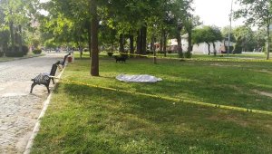 Park'ta erkek cesedi bulundu