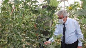 Konya Gıda ve Tarım Üniversitesi'nin geliştirdiği tohumlar, toprakla buluşacak