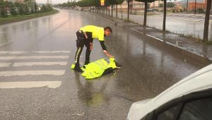 Polis memuru, montuyla yaralı köpeği yağmurdan korudu
