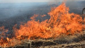 Siverek'te 400 dönüm ekili arazi yandı