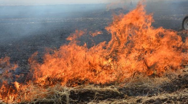 Siverek'te 400 dönüm ekili arazi yandı