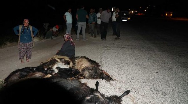 Otomobilin keçi sürüsüne daldı: 1 yaralı, 22 keçi öldü
