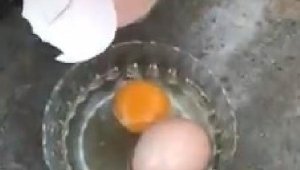 Yumurtanın içinden yumurta çıktı