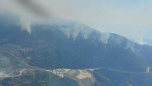 Aydın ve Muğla'da, 8 ayda 865 hektar alan yandı