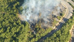 İzmir'de, ormanlık alanda çıkan yangın kontrol altına alındı