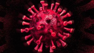 Koronavirüs hakkında çıkan haber sayısı 37 milyonu aştı