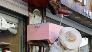 Tabelaya yuva yapan arılar yüzünden esnaf iş yerlerini açamadı