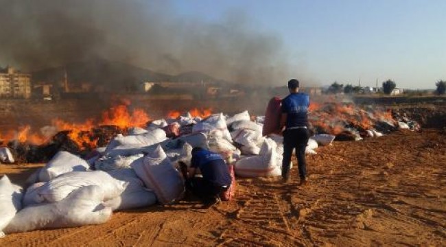 Gaziantep'de 7,5 ton küflenmiş biber imha edildi