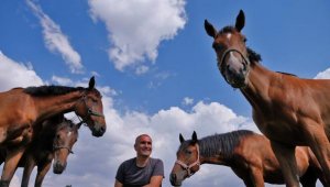 Türkiye'nin şampiyon atları, bal ve pekmez ile yetiştiriliyor