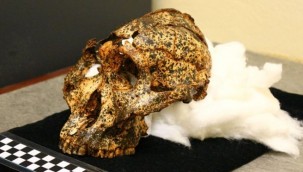 2 milyon yıllık insansı kafatası bulundu
