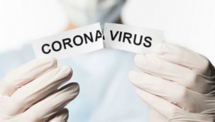 ABD'li Bilim İnsanları Koronavirüsün En büyük Hilesini Ortaya çıkardı Duyanlar inanamadı