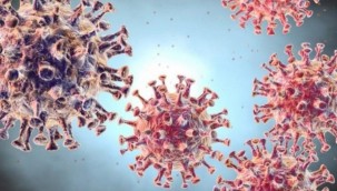 Bulunan Koronavirüs Aşısı Pfizer ve BioNTech Türkiye'ye ne zaman gelecek?