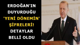Erdoğan'ın duyurduğu 'yeni dönemin' şifreleri! Detaylar belli oldu