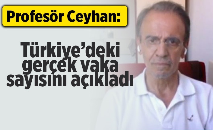 Profesör Mehmet Ceyhan Türkiye'deki gerçek vaka sayısını açıkladı!