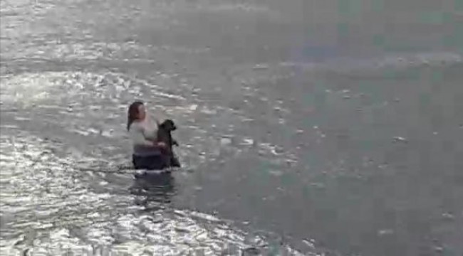 Veteriner hekim, kıyafetleriyle denize girip, soğuk suda şoka giren köpeği kurtardı