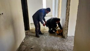 10 katlı inşaatın çatı katında mahsur kalan köpek kurtarıldı