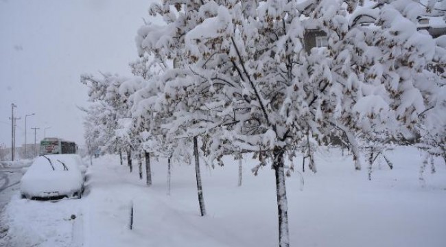 Bitlis'te 224 köy yolu kardan kapandı