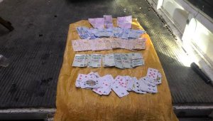 Düzce'de kamyonet kasasında kumar oynayanlara para cezası