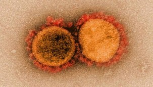  Koronavirüs Mutasyonu Hakkında Neler Biliniyor? Yeni Koronavirüs Türüyle İlgili Uzmanlar Ne Diyor?