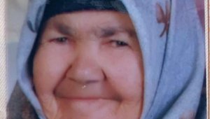 Maltepe'de geri dönüşüm kamyonunun altında kalan yaşlı kadın öldü
