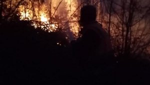 Sakarya'da, 10 dönüm ormanlık alan yandı
