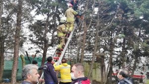 Silivri'de ağaç budarken elektrik akımına kapılan kişi ağır yaralandı